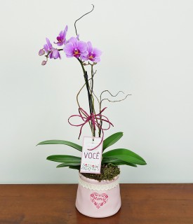Mini Orquídea para Mamãe