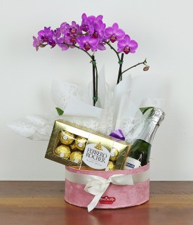Cesta com mini Orquídea, chocolate e espumante - Escolha Certa!