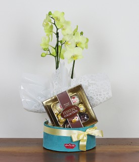 Mini Orquídea com Ferrero Collection - Amar é um Privilégio