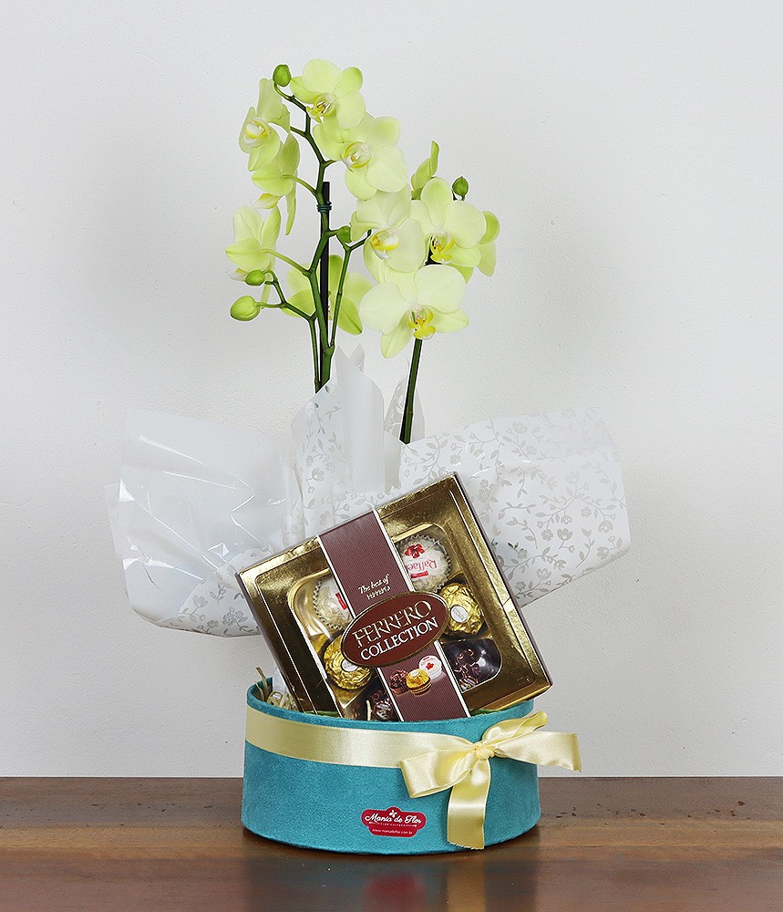 Mini Orquídea com Ferrero Collection - Amar é um Privilégio