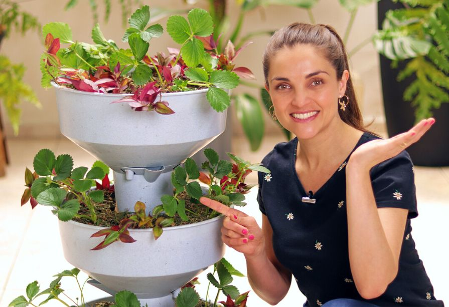 Mania de Flor